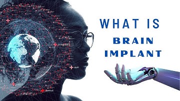 The Brain Implant: A World Beyond Perception