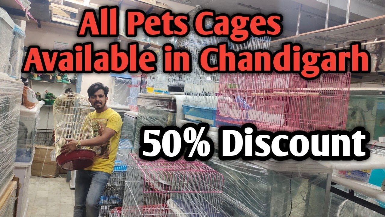 All Pet Cages SIZE & PRICE Cheapest Dog Cage and Birds Cage Sales