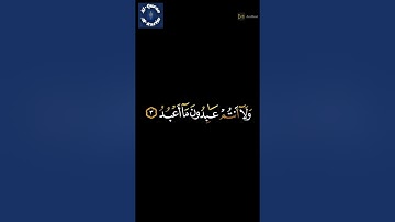 سورة الكافرون لقارئ شريف مصطفى