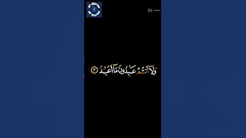 سورة الكافرون لقارئ شريف مصطفى