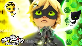 🔴BEE NOIR - NEW TRANSFORMATIONS 🐞 LADYBUG AND CAT NOIR MIRACULOUS 6 (Fanmade)