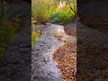 Babbling brook sounds. Full 10 hours 4k video already on our YouTube channel #nature