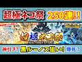 【超極ネコ祭】新キャラ黒ルーノス狙いで250連!爆死か神引きか? 【にゃんこ大戦争】