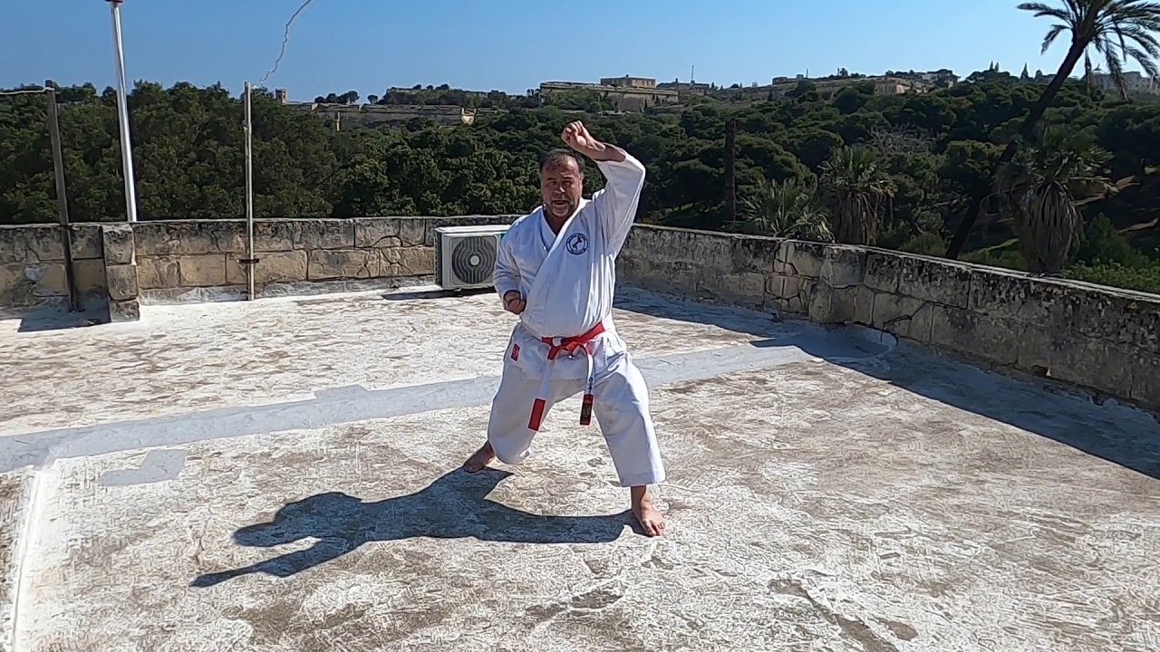 HEIAN SHODAN   -  (step by step )