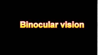 What Is The Definition Of Binocular vision Medical Dictionary Free Online