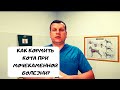 КАК КОРМИТЬ КОТА ПРИ МОЧЕКАМЕННОЙ БОЛЕЗНИ