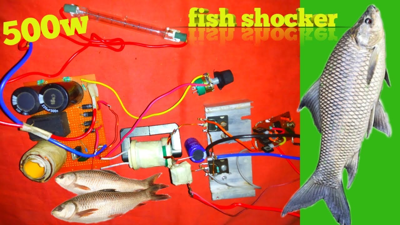 Electric Fishing Jugad ⚡ देसी टेक्नोलॉजी का कमाल!