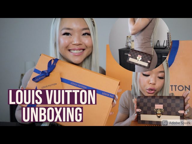 Unboxing My Louis Vuitton VAVIN CHAIN WALLET - Hard to Find - in Damier  Ebene 
