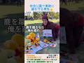 奈良公園で勇敢に鹿を守る男性👍️＃shorts ＃奈良公園 ＃鹿 ＃中国人 ＃動物