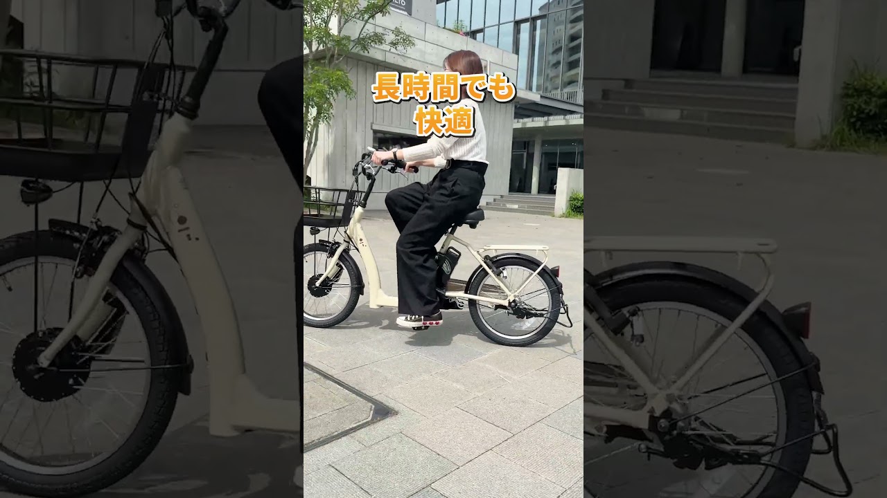 100％完全組立品】【ノーパンク】PELTECH LOWSTEP（ローステップ）20型