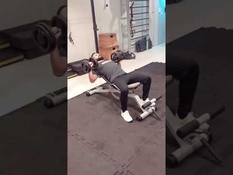 Supino inclinado com halteres video phone beyonce mp3