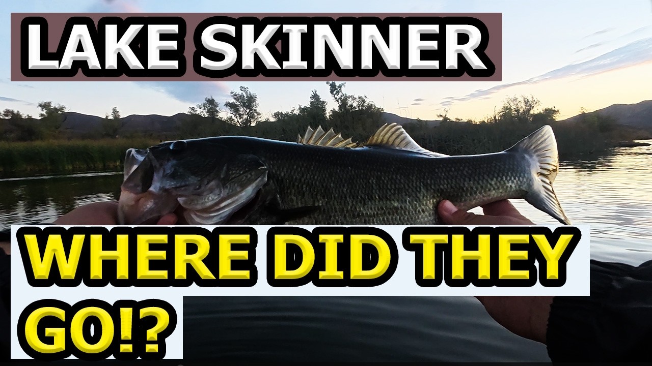 Lake Skinner Made Me Work for These 11 Bass