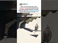 This bird turned into full-time security during the storm ☔ #birds