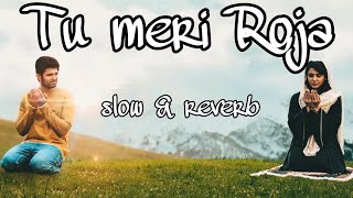 Tu Meri Roja [ slowed + reverb ] Hesham Abdul Wahab | Javed Ali | #vijaydevarakonda  #samantha #love