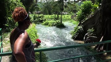 Roaring River - The Cave - Westmoreland - Jamaica - Reliable Tours - Errol Evans