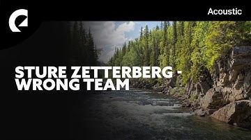 Sture Zetterberg - Wrong Team