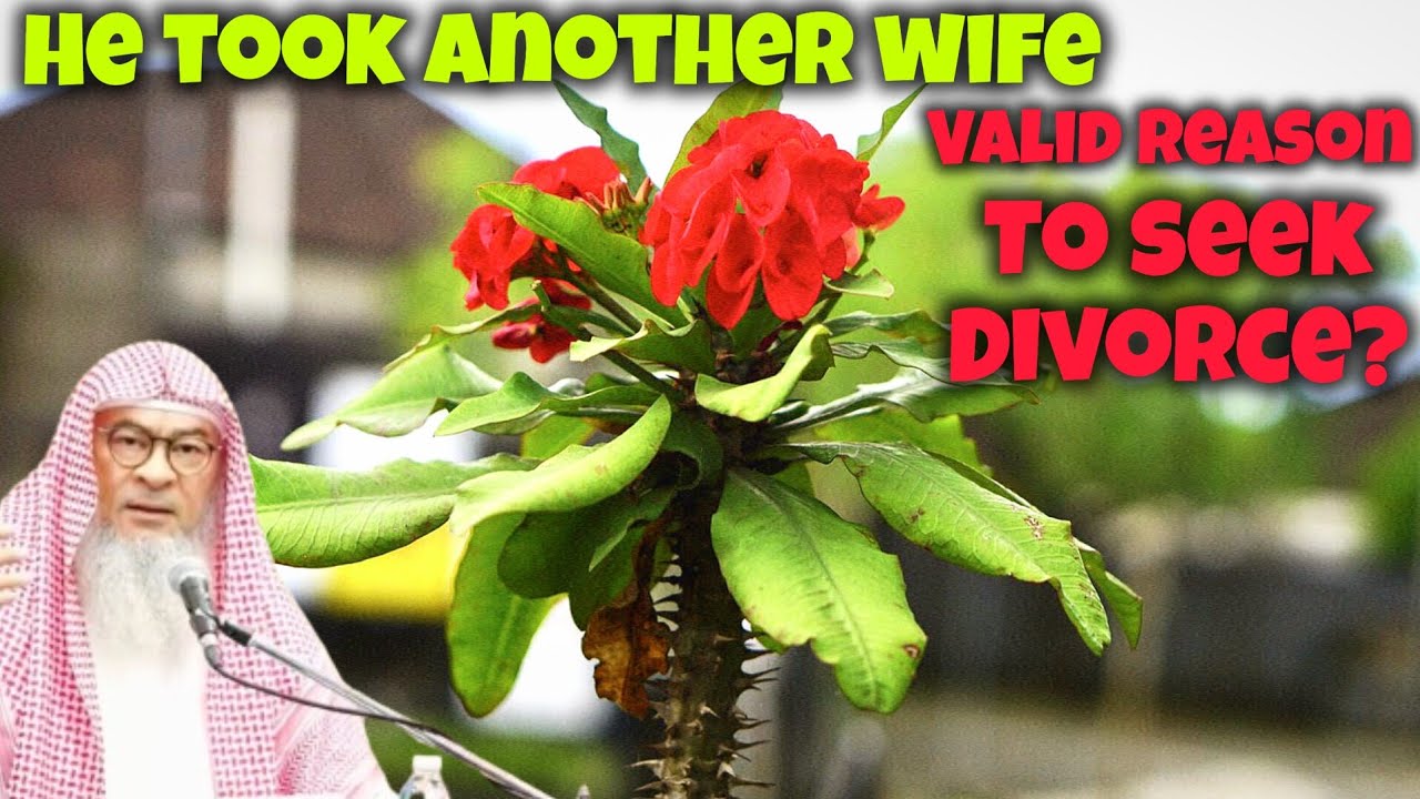 If her husband takes a second wife is it a valid reason to ask for divorce / khula? assim al hakeem