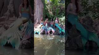 Four mermaids sit by a mysterious lagoon #mermaid #shorts #putriduyung #sirena #mermaidtail