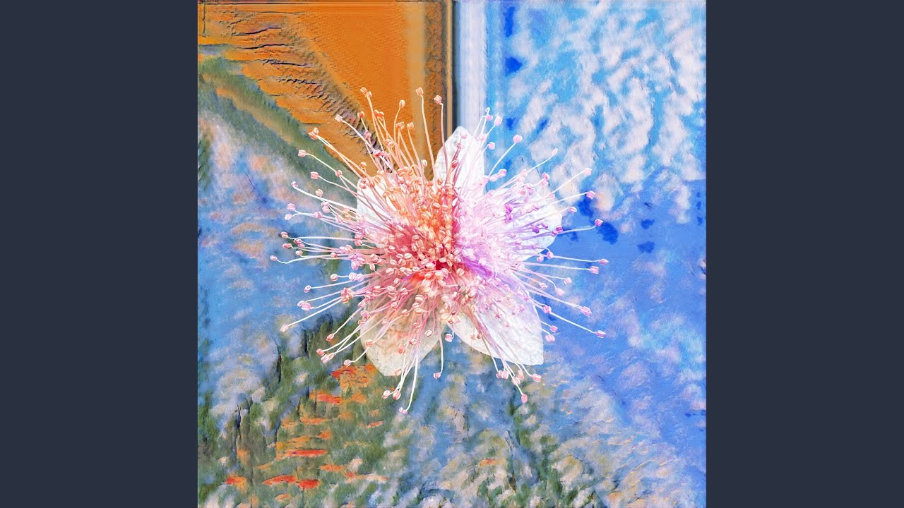 Watch yoru on YouTube Watch yoru on YouTube