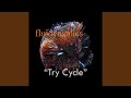 Try cycle