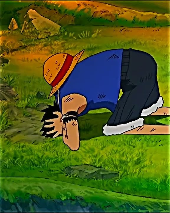 sedih luffy kehilangan krunya