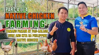 AMAZING CHICKEN FARMING | TAMANG PAGKAIN AT PAG-AALAGA, SURE ANG KITA SA PHILIPPINE NATIVE CHICKEN