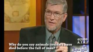 Why do you say animals couldn't have died before the fall of man?