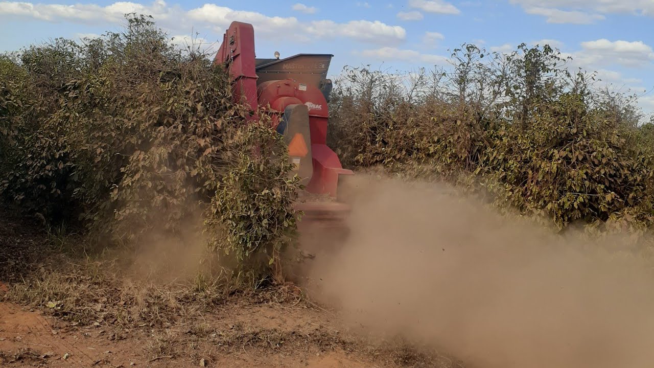 LEVANTANDO CAFÉ DO Chão, MIAC Master 3E