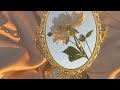 سمية الناصر كيف أحمي نفسي من الناس