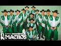 ✅Banda Machos Corridos y Rancheras 🥇Banda Machos 30 Grandes Exitos mix 2026#385