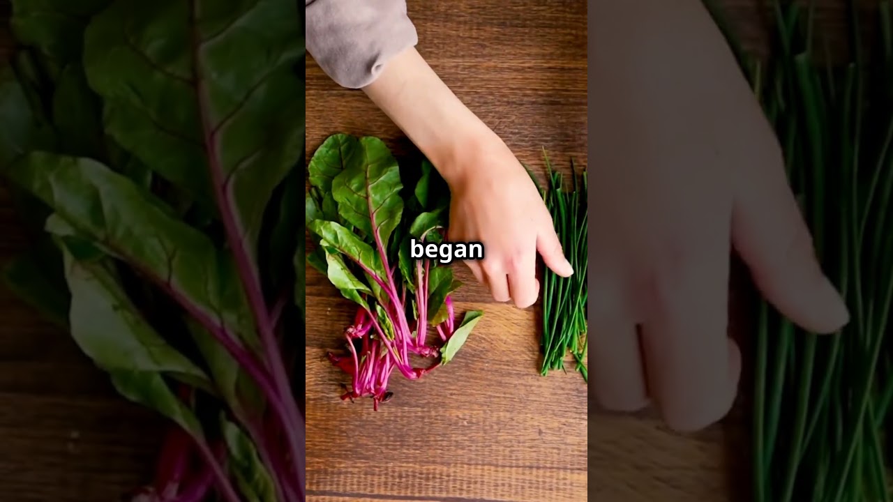 The Enchanted Cooking