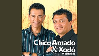 Video thumbnail of "Chico Amado & Xodó - Tem Alguém no Seu Lugar"