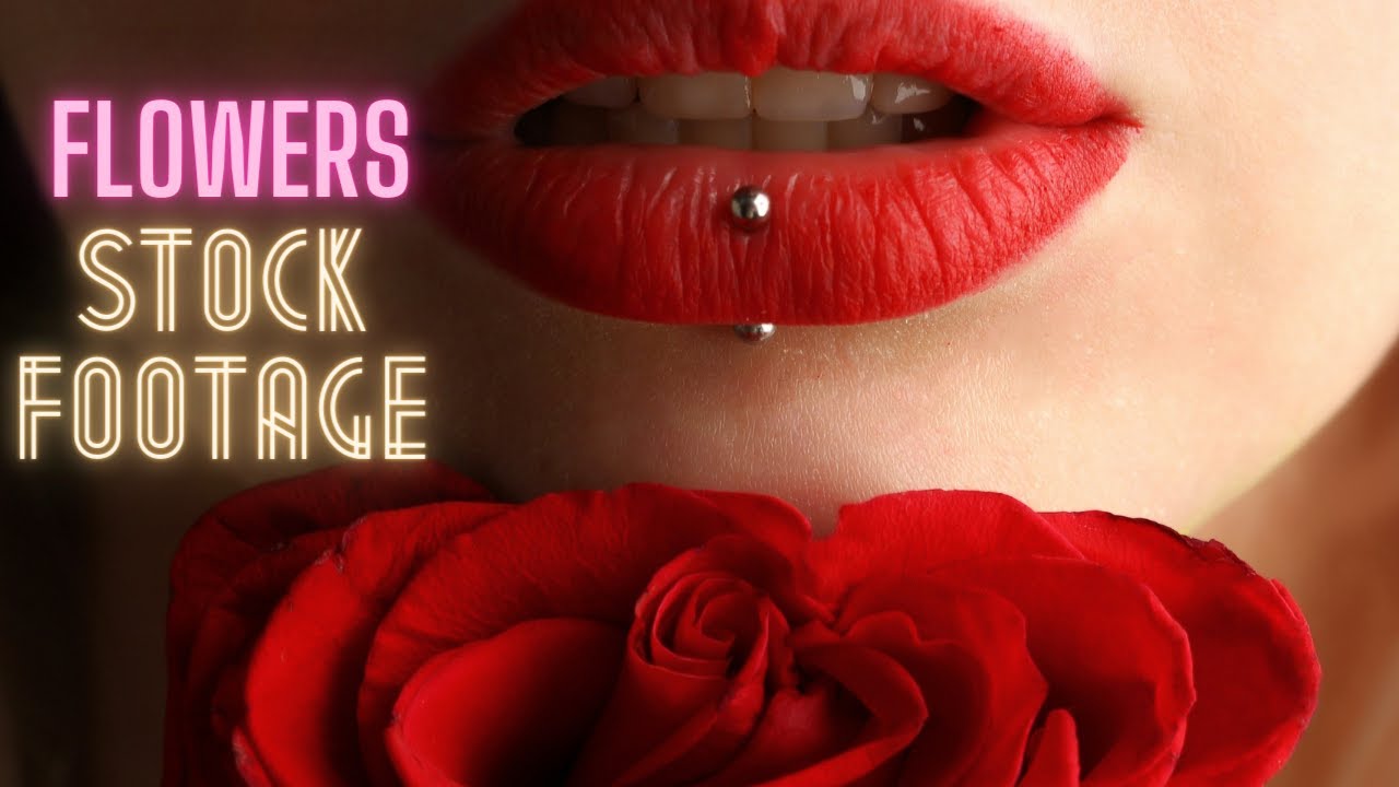 Flowers - Royalty Free Stock B Roll Video Footage