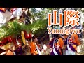【2013】鴻八幡宮祭りばやし「しゃぎり」山際だんじり / Kou Hachimangu Shrine Matsuribayashi "Shagiri" Yamagiwa Danjiri【神賑】