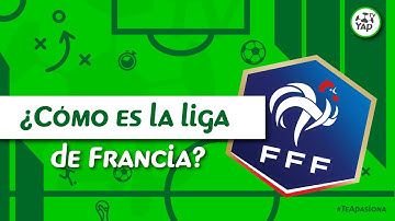 Liga Francesa