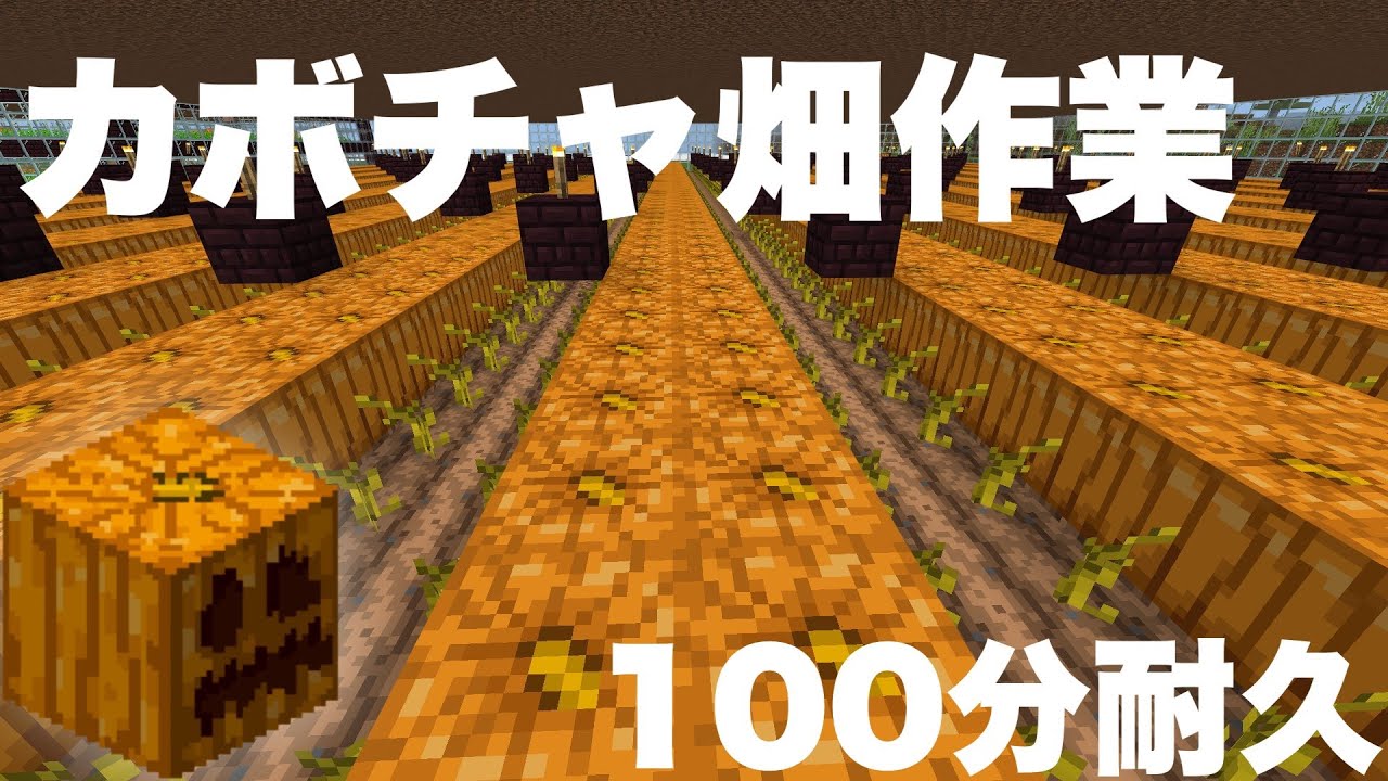 Asmr 100分作業耐久カボチャ畑睡眠導入 マインクラフト Youtube Asmr 100分作業耐久カボチャ畑睡眠導入 マインクラフト Youtube