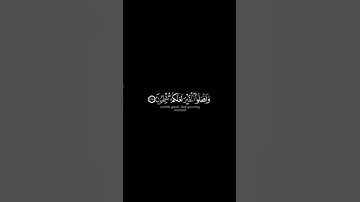 يا أيها الذين آمنوا اركعوا واسجدوا شاشة سوداء | #سورة_الحج| #عبدالله_الخلف ~#قرآن