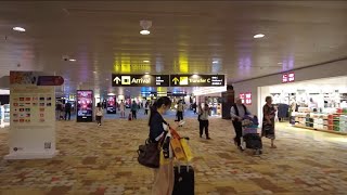 Singapore Airport Arrival Terminal 1 2024 SIN