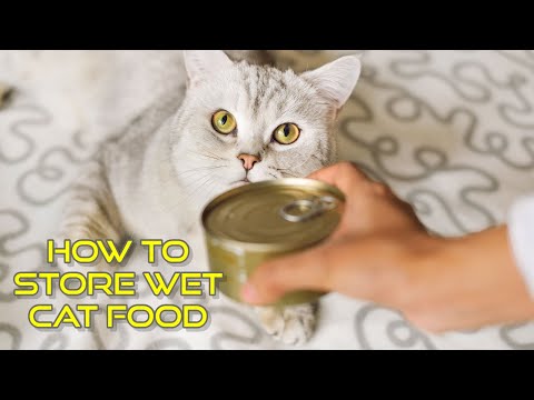 How to Store Wet Cat Food | How to keep cat food fresh | Should you refrigerate wet cat food?