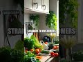 The Unbelievable Journey of HelloFresh