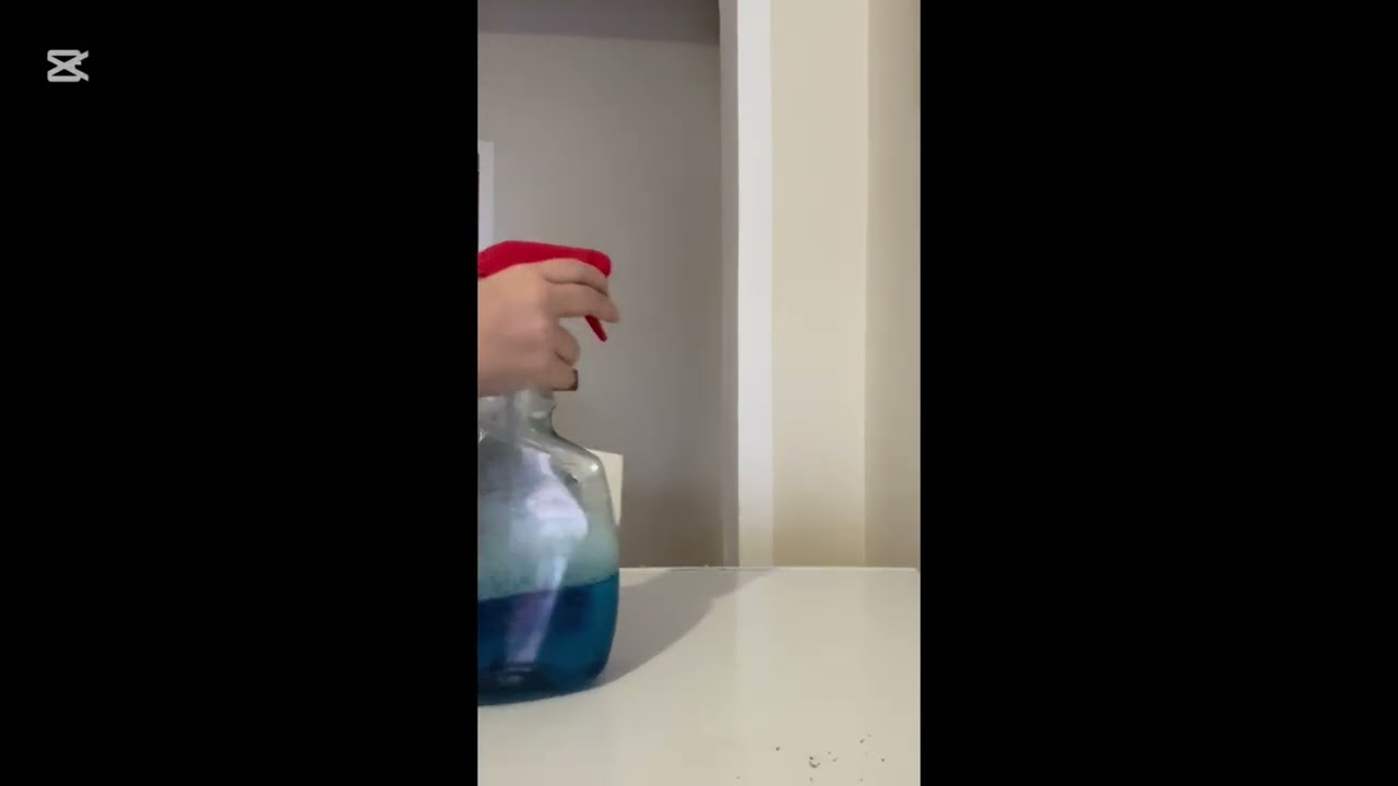 Pastrojme bashk 🧽. Merry Christmas 🎄🎁.