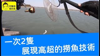【阿賢爸】愛釣魚 Ep.221  1次2隻 展現高超的撈魚技術     (大咬釣組金珠釣法珠鉤釣法)
