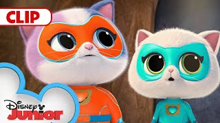 Bitsy Stops Lab Rat | SuperKitties | | @disneyjunior