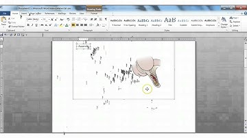 Using the Drawing Canvas to Label an Image (Word 2010)