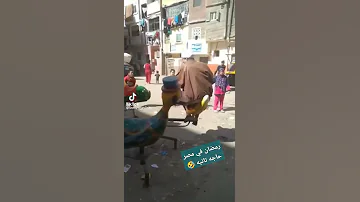 الدنيا زى المرجيحه من تحت لفوق 