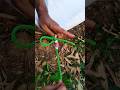 Learn This Tarp Corner Knot Before You Need It!