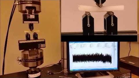 SENB Test on Potato Wedge