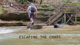 Finding Peace in the Chaos