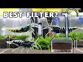 Best filter for SHRIMP TANK? Undergravel filter setup for Caridina Shrimp