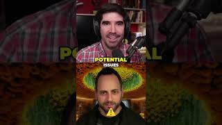 AI Finds 500 Security Vulnerabilities in Code #shorts